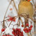 Northern Cardinal